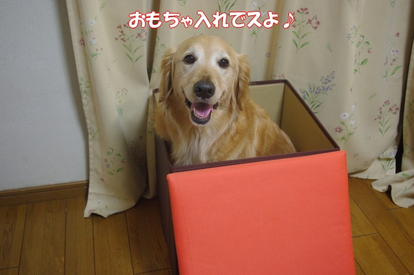 IMGP8427_20120424003011.jpg