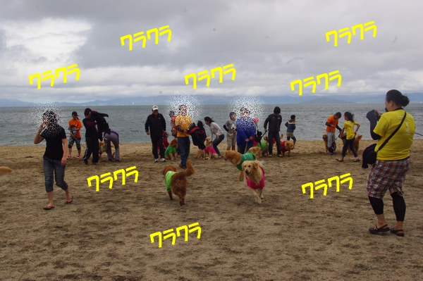 IMGP8990_20120507001453.jpg
