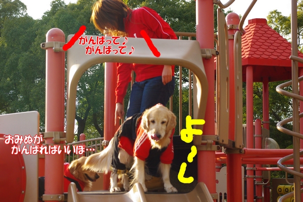 IMGP9074_20120307235409.jpg