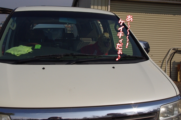 IMGP9825_20120206235457.jpg