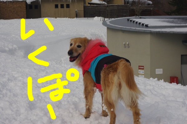IMGP9907_20120210003031.jpg