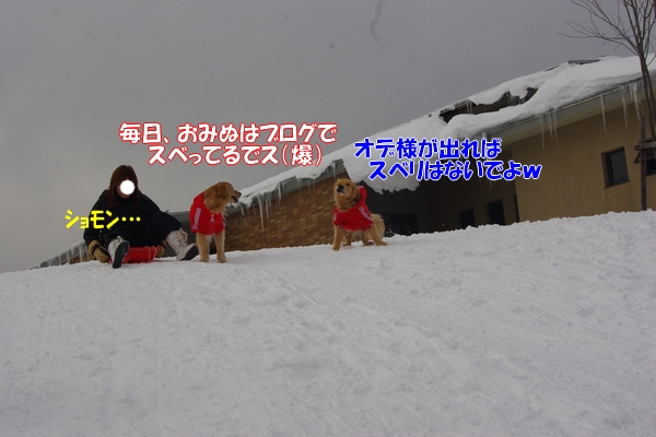 IMGP9926_20120210003030.jpg