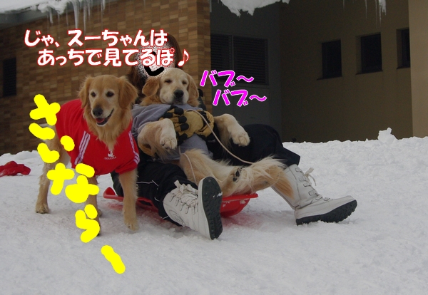 IMGP9961_20120215001056.jpg