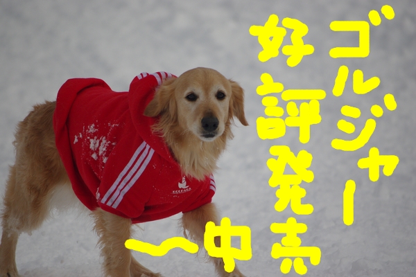 IMGP9995_20120210003121.jpg