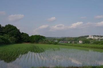 IMGP2516.jpg