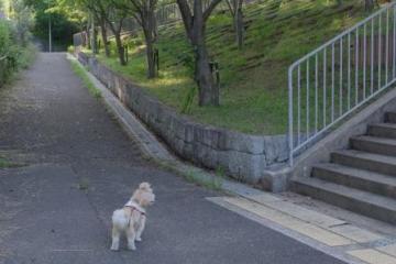 IMGP2517.jpg