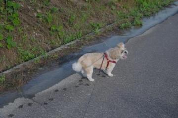 IMGP2519.jpg