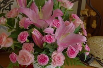IMGP2543.jpg