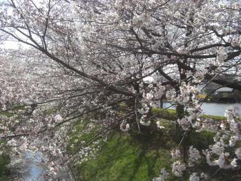 12040701.jpg