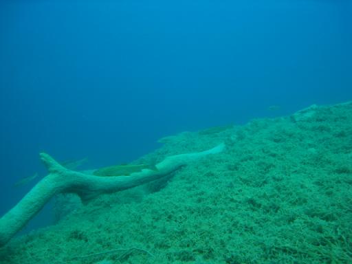 IMG_0027_20130616235123.jpg
