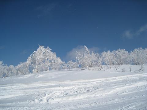 IMG_0032.jpg