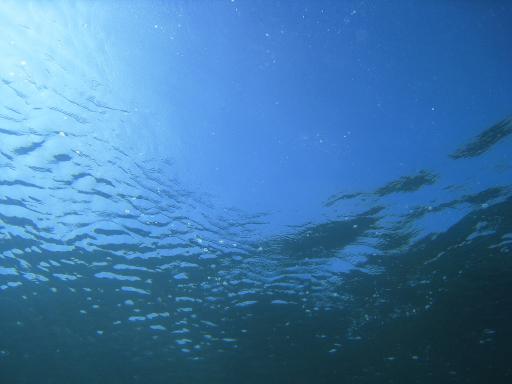 IMG_0085_20130716220108.jpg