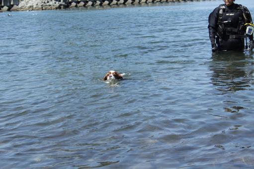 IMG_0399.jpg