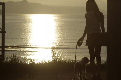 _MG_0806.jpg