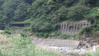 DSC00210S10.jpg