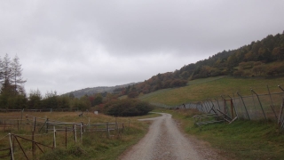 DSC00259S10.jpg