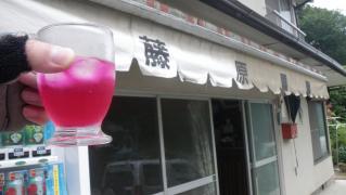 IMGP2773.jpg