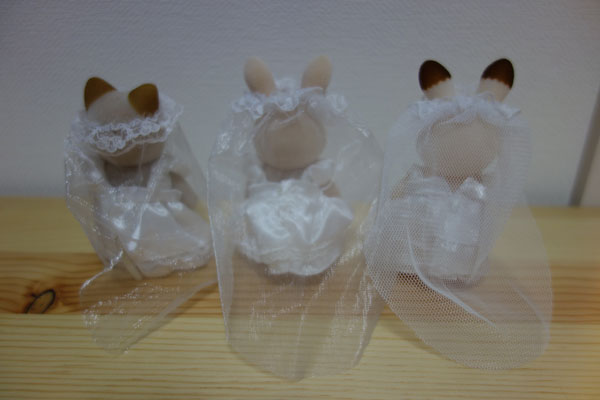 DSC03337.jpg