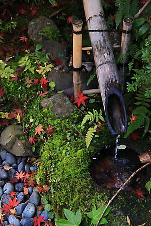 IMG_5197.jpg
