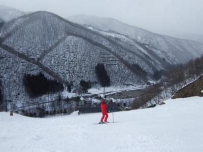 DSCF4798_c.jpg
