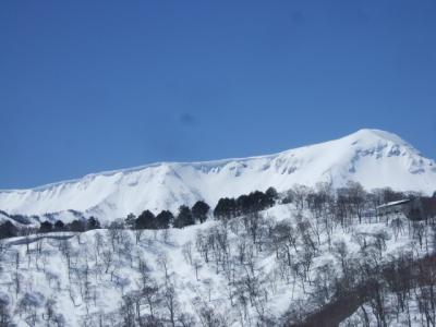 DSCF5108.jpg