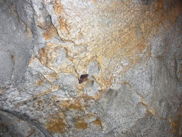 130318-98.jpg