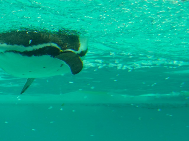 130401-136.jpg