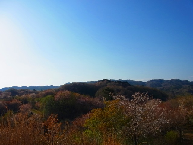 130415-231.jpg
