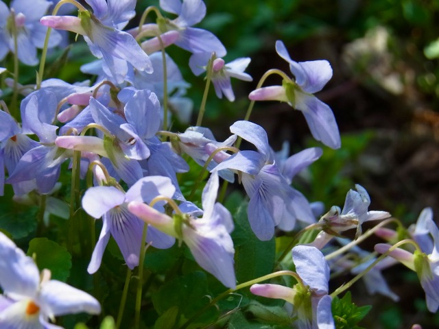 130415-24.jpg