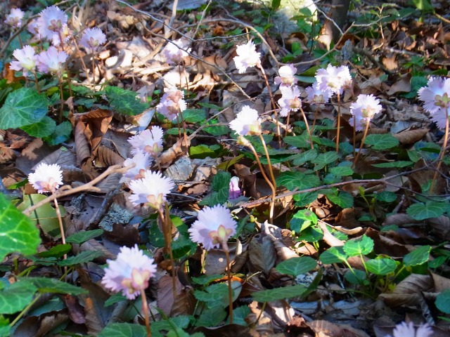 130415-35.jpg