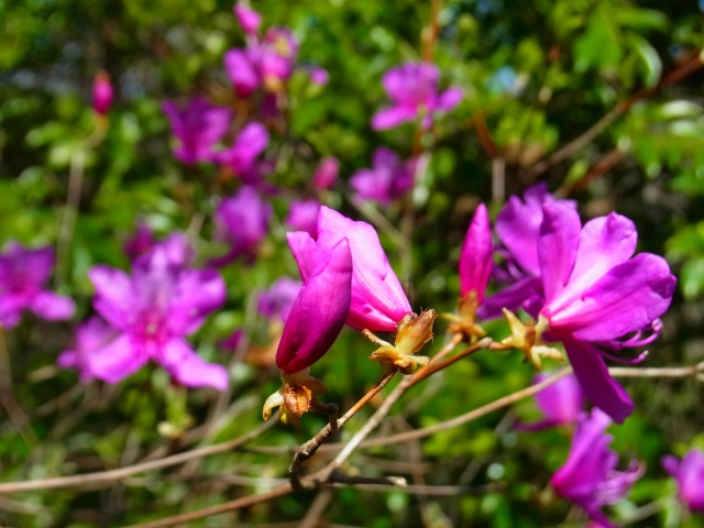 130415-65.jpg