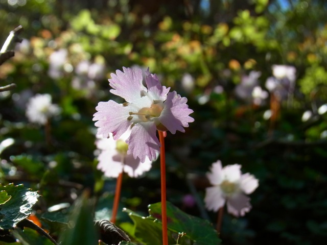 130415-90.jpg