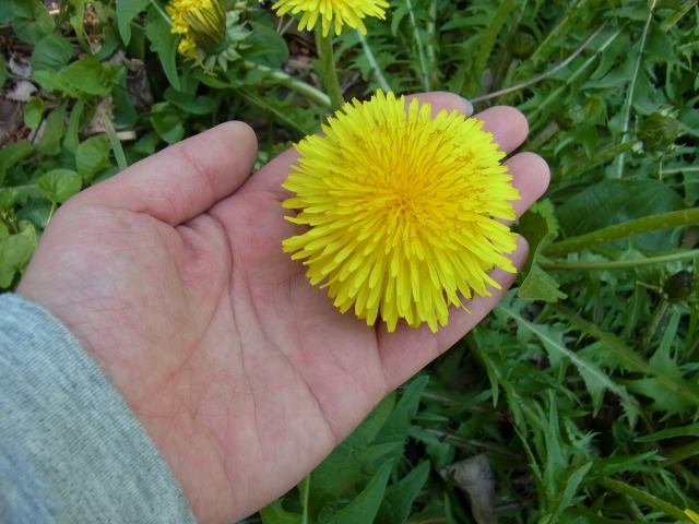 130427-16.jpg
