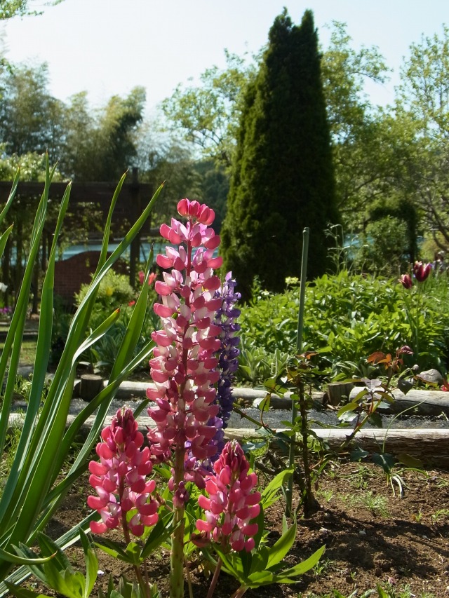 130427-96.jpg