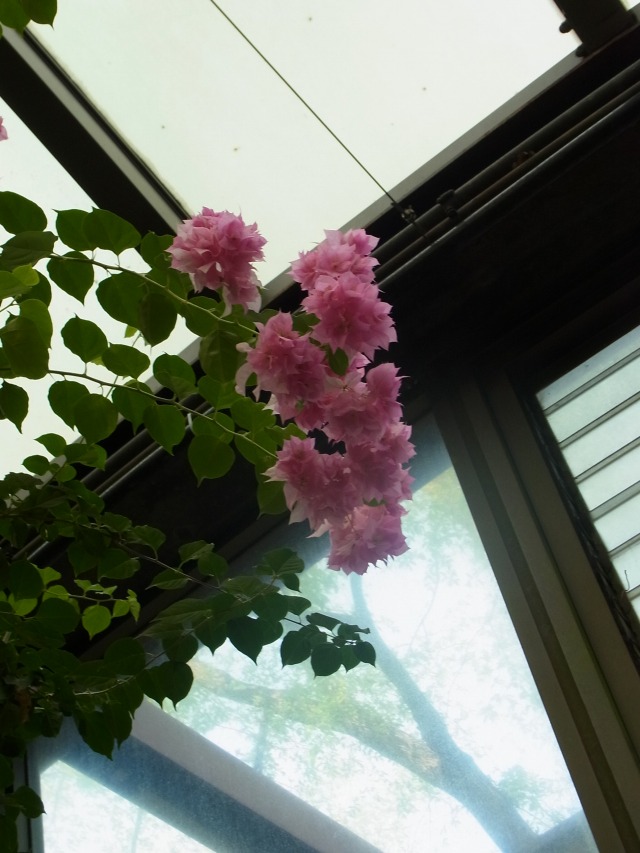 130429-53.jpg
