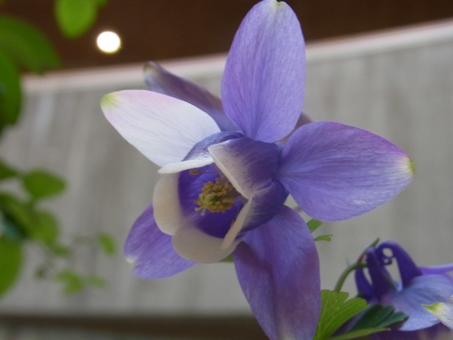 130429-74.jpg