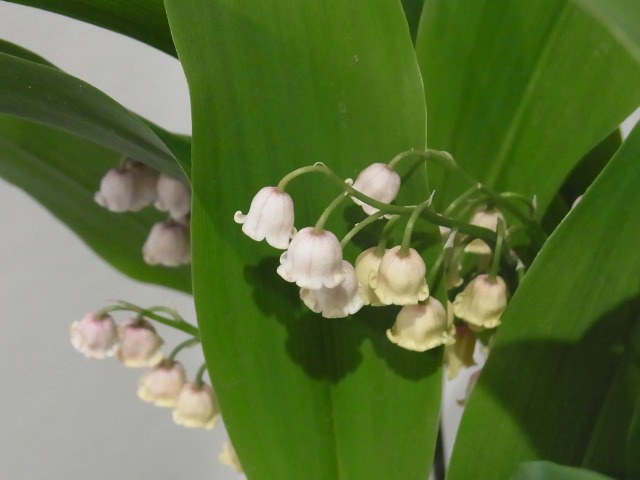 130429-83.jpg