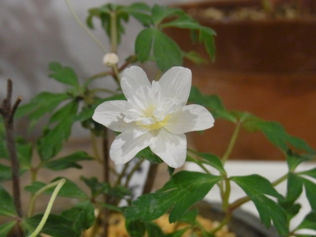 130429-84.jpg