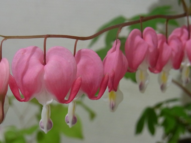 130429-85.jpg
