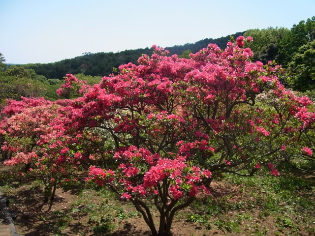 130507-104.jpg