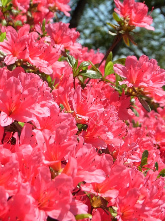 130507-109.jpg