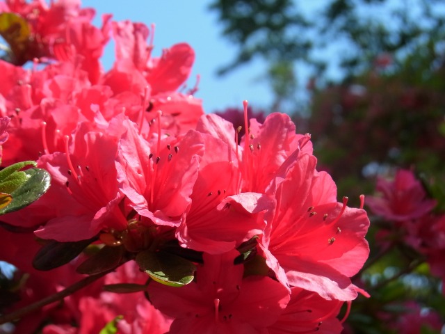 130507-38.jpg