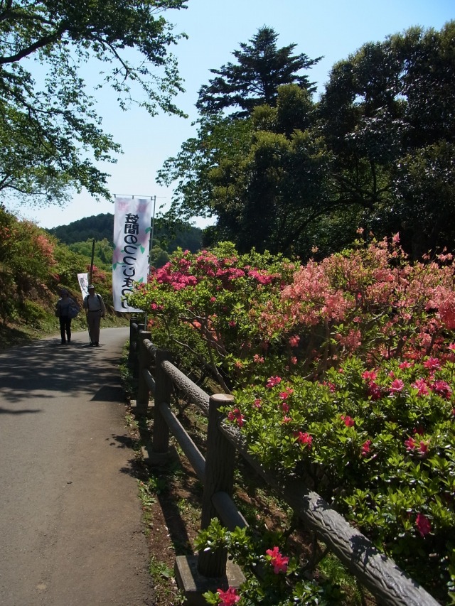 130507-55.jpg
