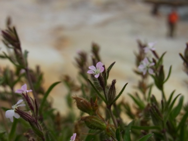 130517-82.jpg