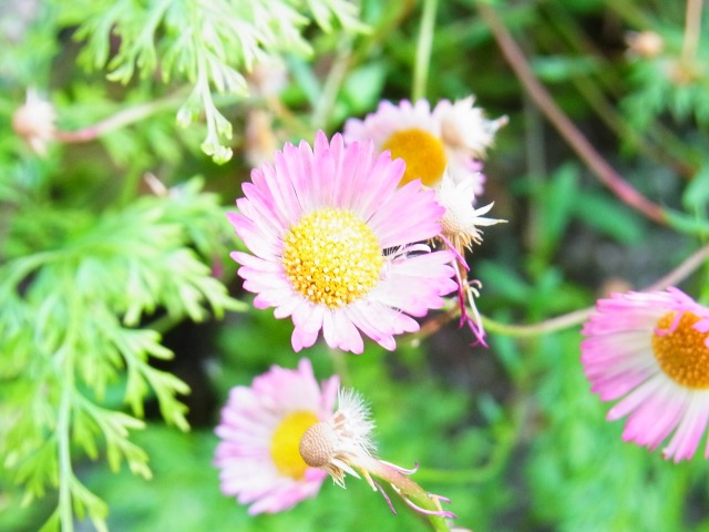 130519-13.jpg