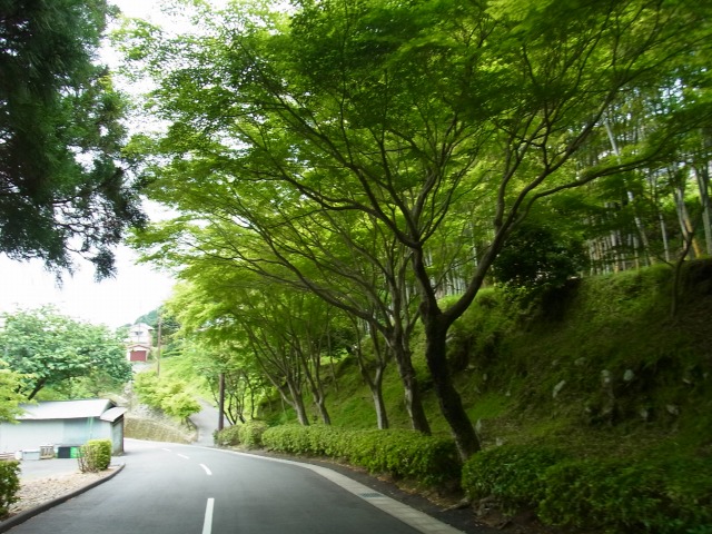 130519-78.jpg