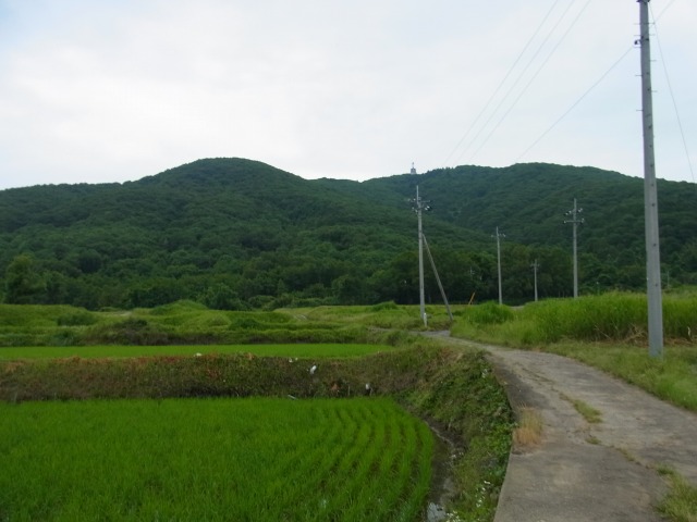 130610-1.jpg
