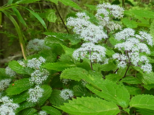 130610-13.jpg