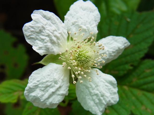 130610-36.jpg