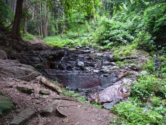 130610-4.jpg